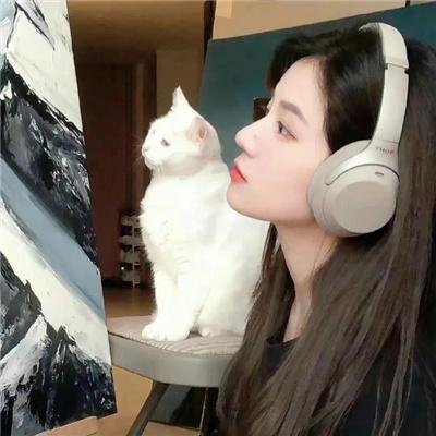 弦动我心